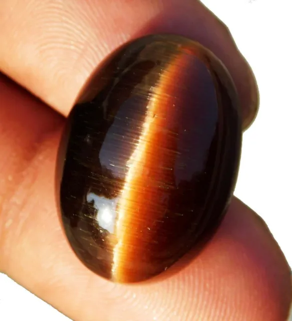 31.30 ct. Beautiful AAA+++ Natural Brown  Cat's Eye Oval Cut Loose Gemstone