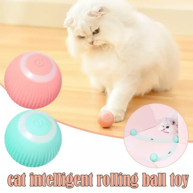 Automatic Smart Kitten Cat Toy Ball Rolling Interactive Self Catnip D6B5 2