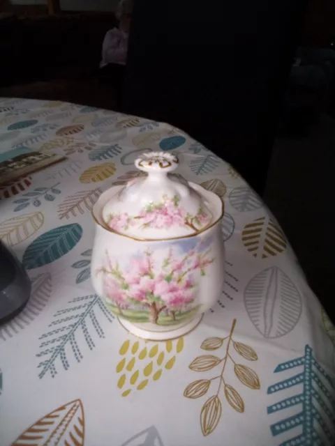 'Blossom Time' - Royal Albert - Very Rare - Jam / Mustard / Marmalade Pot