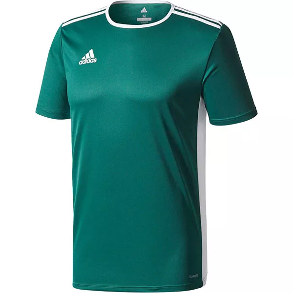 Adidas Entrada 18 maglia da allenamento junior verde