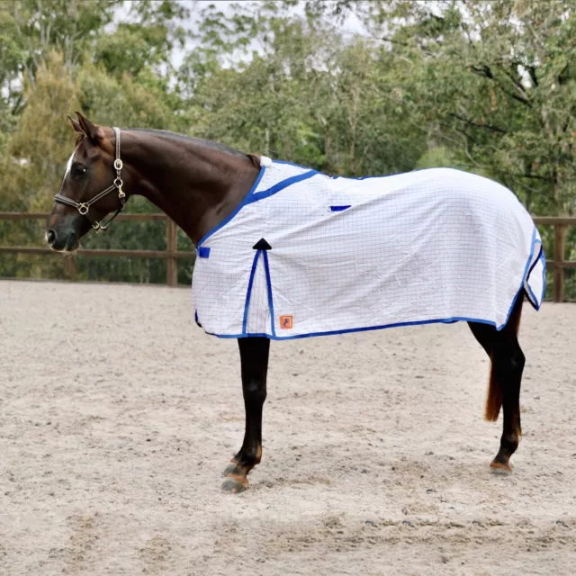 Capriole Ripstop Cotton Rose & R.Blue Check Summer Horse Rug