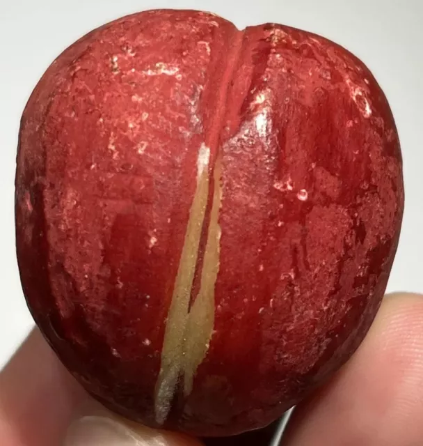Early Antique Italian Alabaster Stone Fruit Marble Miniature 1 1/2” Red Plum NM+
