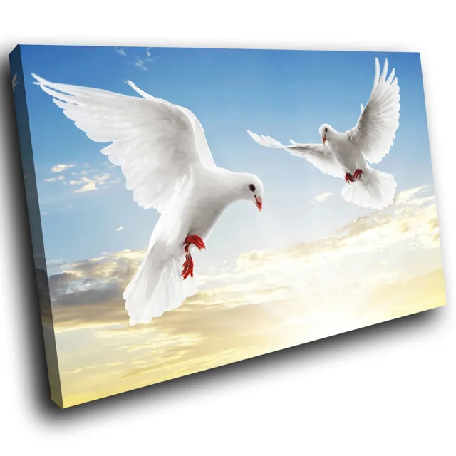 Weiße Taube blauer Himmel Vogel Funky Tier Leinwand Wandkunst große Bilddrucke