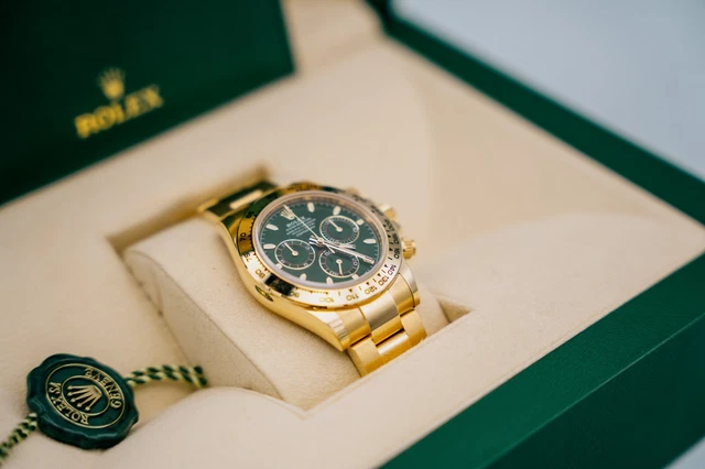 Daytona verde oro hotsell