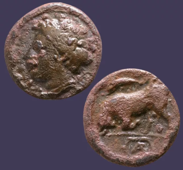 Archaios |  Sicily SYRACUSE AGATHOKLES Persephone / Dolphin Bull | AE | 60.19