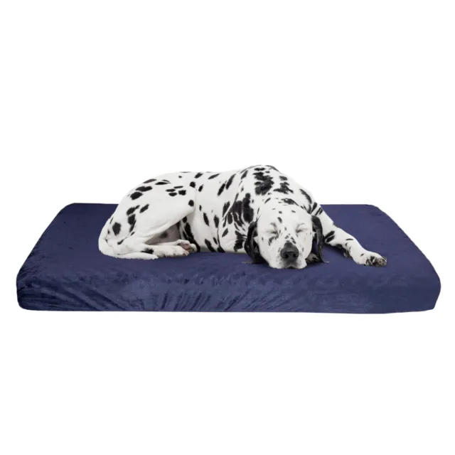 Memory Foam Dog Bed Blue 46 x 27 Orthopedic Dog Bed with Machine Washable Cover