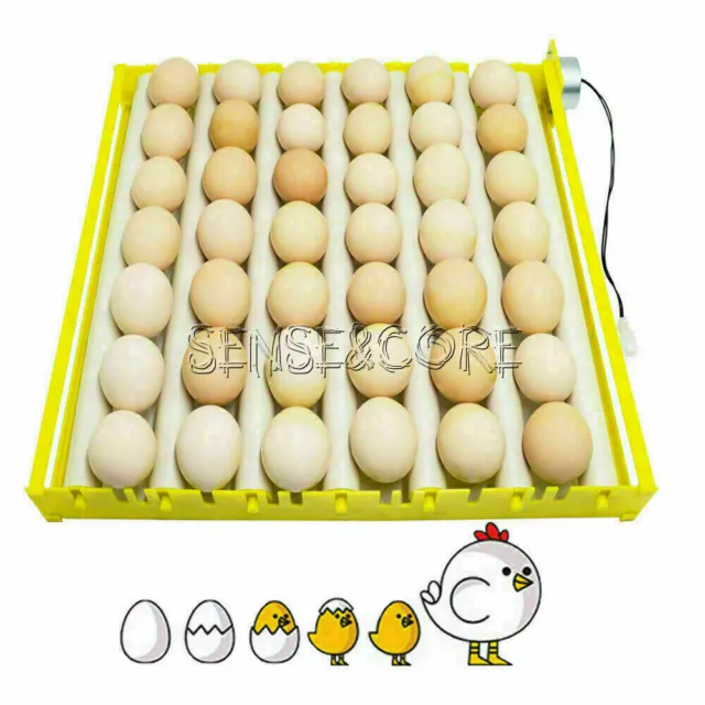 110V/220V 360° Automatic Rotary Egg Turner Roller Tray 42Egg Hatching Incubator