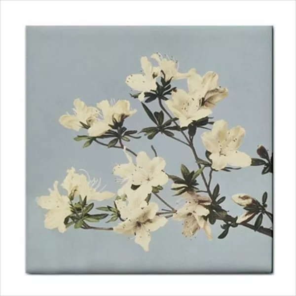 Japanese Azaleas Flower Floral Art Backsplash Ceramic Tile