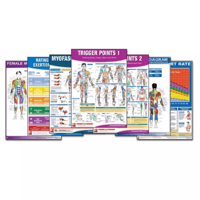 Productive Fitness Home Gym Work Out Poster - Laminated (Many Exercises)