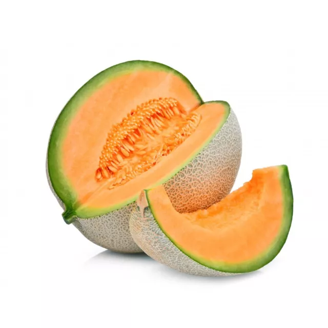 50 Graines de Melon Charentais Méthode BIO plantes fruit légume jardin potager