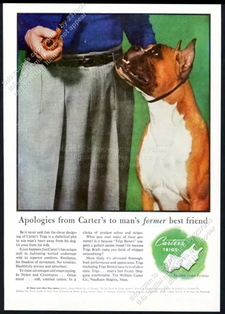 1954 boxer dog photo Carter's Trigs men's underwear vintage print ad