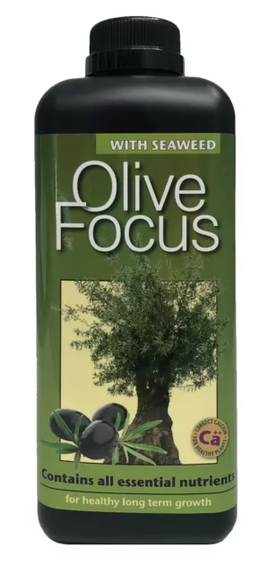 Growth Technology Olive Focus 1 Litre Olive Plant Feed / Food