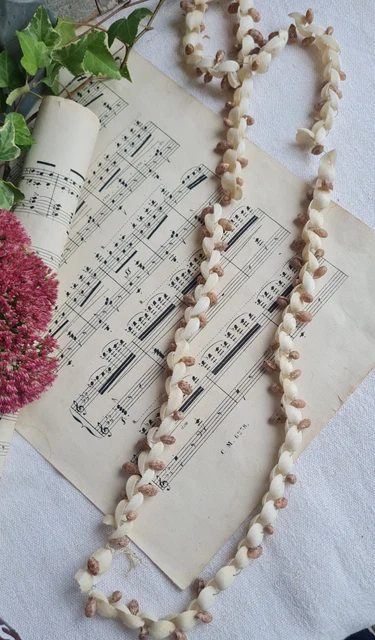Chaîne maille forçat en or 375 de 46cm