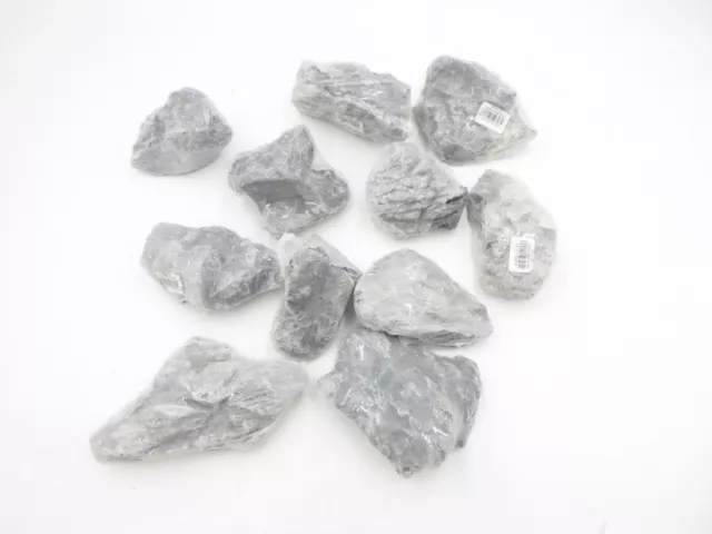 Pack Of 11 SR Aquaristik Seiryu Small Stone Aquarium Fish Plant Aquascape 11 lbs
