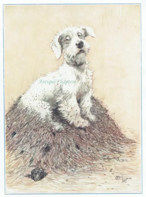 Sealyham Woggles Endurance Sat On Ant Hill 1931 Cecil Aldin Dog Print E460
