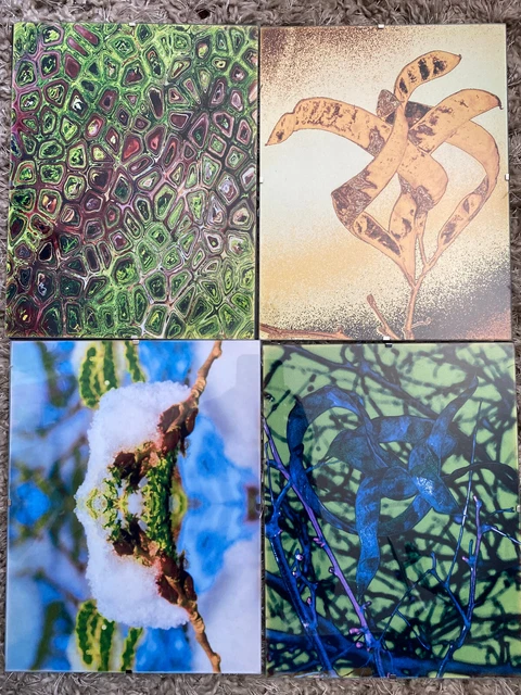 Framed Botanical Photography Lot of 17 8.5" x 11" Stylized Macro Floral Pictures