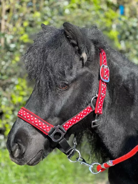 Equipride Unicorn  Poky Dot Headcollar Lead Rope Set Size Full To Mini Shetland