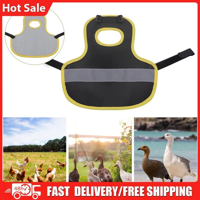 Poultry & Waterfowl, Pet Supplies PicClick UK