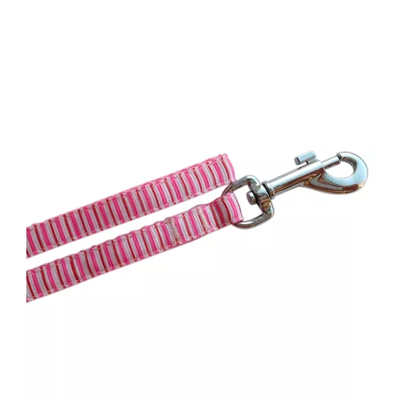 Ensemble collier rose et plomb assorti - chiot et chiot - rayures roses 2