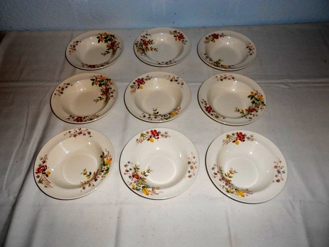 9 Vtg. Copeland Spode China "Thelma"  6 1/2" Rim Soup Bowls - Excellent