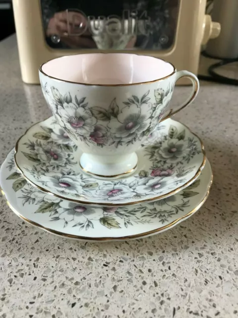 1950's FOLEY FIne English Bone China TEA CUP TRIO  MINT