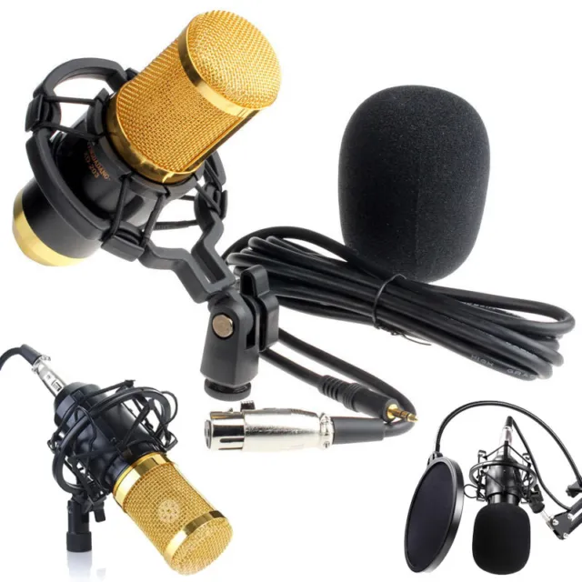 BM-800 Pro Condenser Microphone Studio Recording Dynamic Mic & Metal Shock Mount
