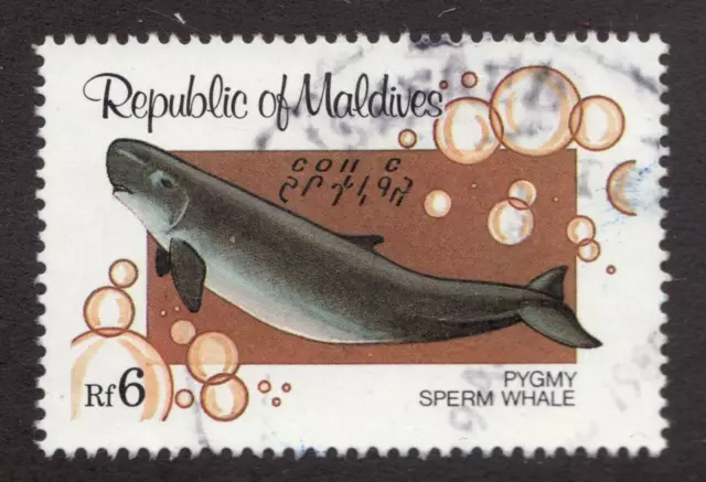 1983 Maldives Sc# 988 - Pygmy Sperm Whale Rf6 used postage stamp. cv$9