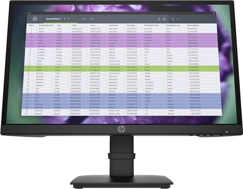 HP P22 G4 - P-Series - LED-Monitor - 54.6 cm (21.5")