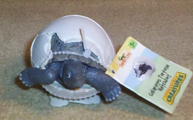 Nwt 2005 Safari Ltd. "Galapagos Tortoise Hatchling Figurine Incredible Creatures