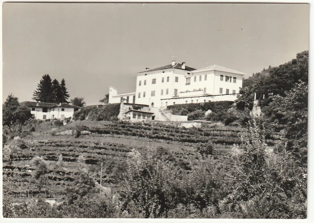 Villazzano Di Trento - Trento -95375-