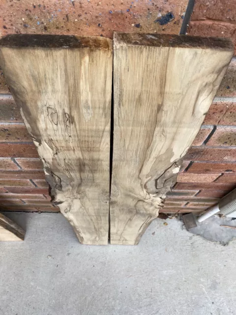 Tasmanian Blackheart Spalted Sassafras Craft Bookmatched Slabs Timber Board Wood 2