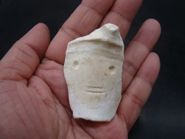 Taino Pre-Columbian c 1000-1500 AD nice carved shell pendant  (30 photos)  p1309