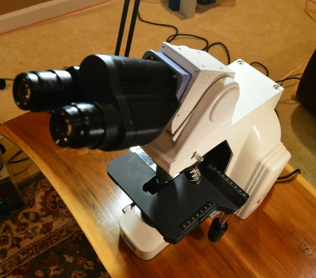 NIKON ECLIPSE E400 microscope with ergo head and 4 plan objectives EUR ...