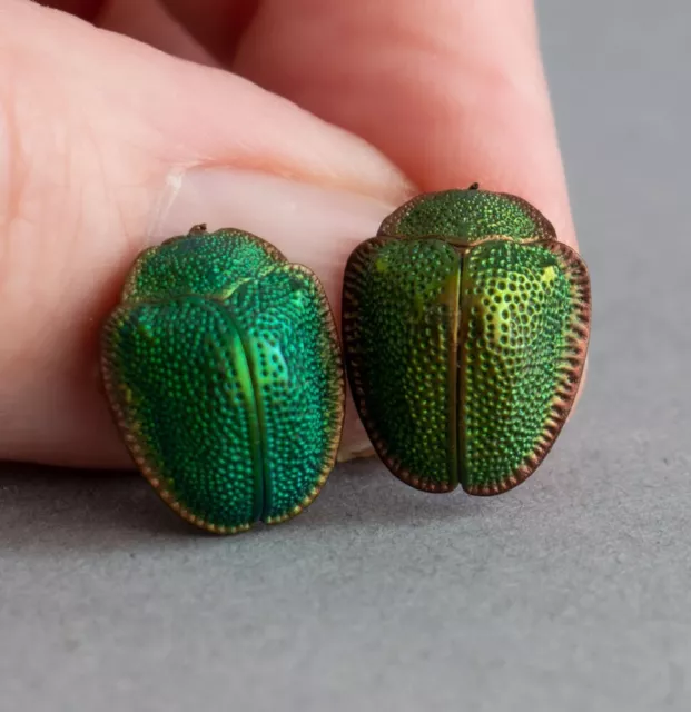 2 Striking REAL Antique ART DECO Iridescent Green EGYPTIAN SCARAB BEETLES