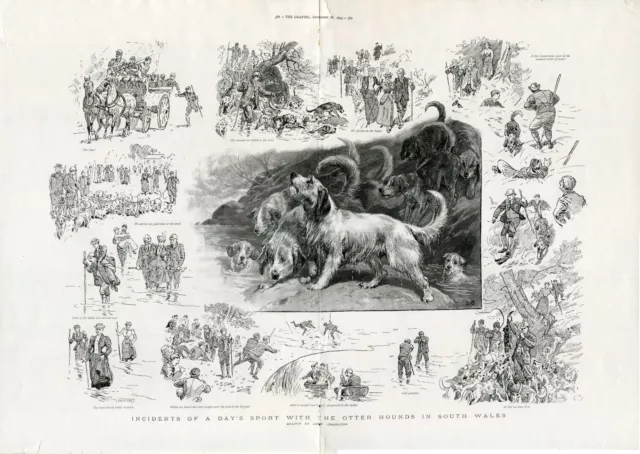 Otterhound Otter-Hound Hunting Dog Art Engraving 1895 South Wales Hunt Charlton