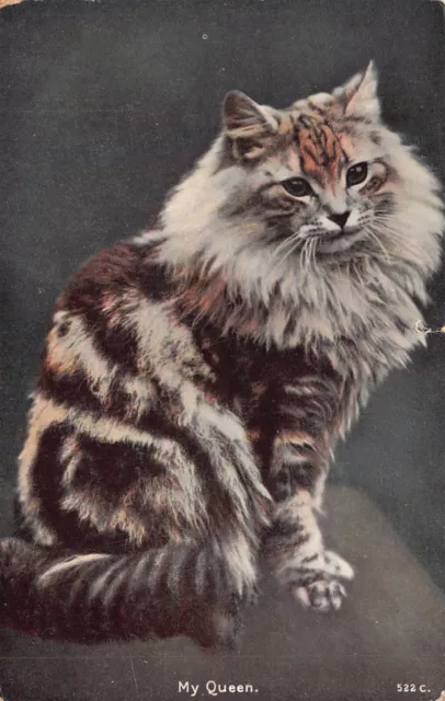 Postkarte - My Queen - Langhaarige Tabby Katze - Grüsse - Schnell - 1909?