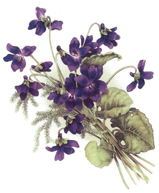 Calcomanías de cerámica tobogán de agua violetas helecho púrpura flores verdes talla A Bx