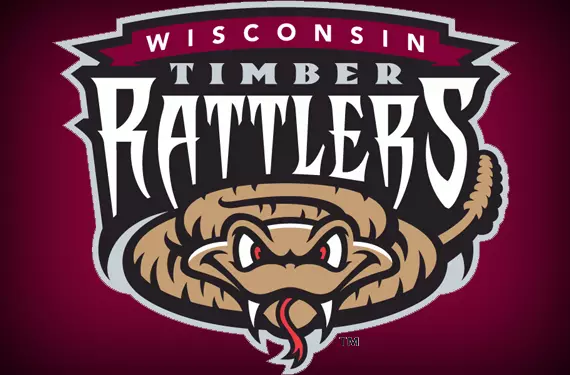 Wisconsin Timber Rattlers Bobblehead YOU PICK CHOICE DISCOUNTS updated 8/8/23