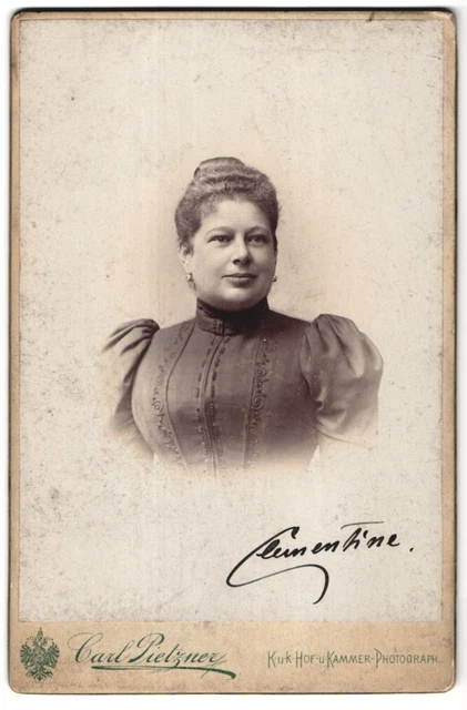Fotografie Carl Pietzner, Wien, Mariahilferstr. 3, Dame m. hochgesteckten Haare