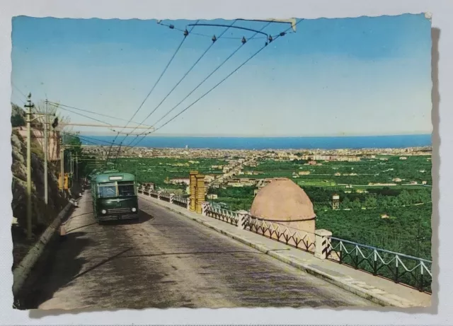 36437 Cartolina - Palermo - Panorama visto da Monreale