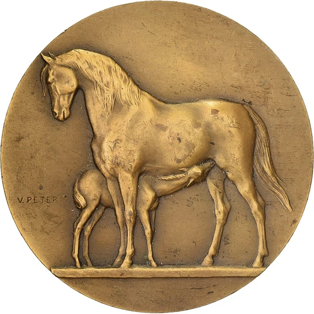 Médaille Bronze Concours Hippique Paris 1925 - Médaille équestre Ancienne