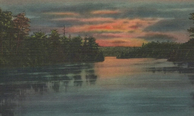 Beautiful Sunset at Durand-Eastman Park in Rochester NY Linen Vintage Post Card