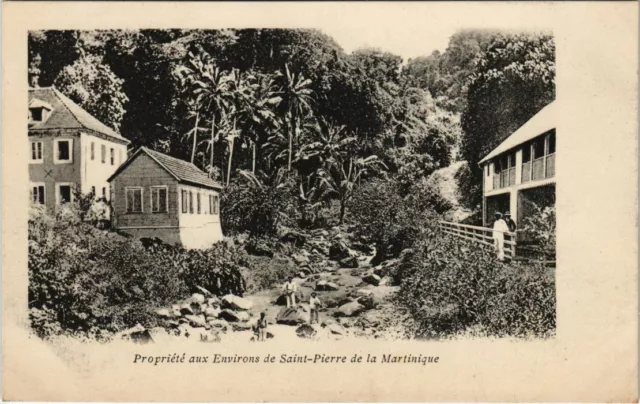 CPA AK Propriete aux env.de Saint Pierre MARTINIQUE (1045301)