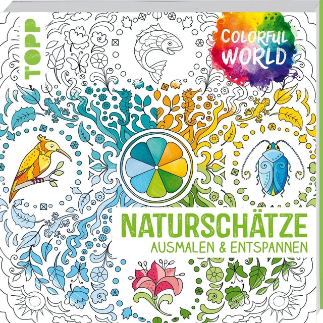 Helga Altmayer (u. a.) | Colorful World - Naturschätze | Taschenbuch | Deutsch