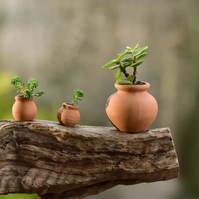 2pcs Pot Rural Style Terra-cotta Mini Succulent Flower Planter Home Office Decor