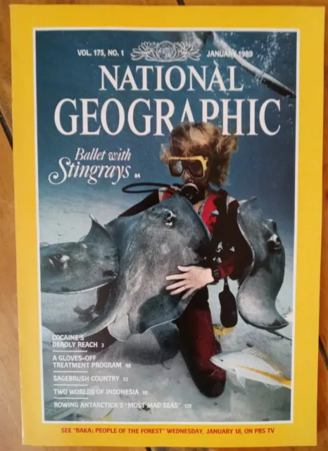 National Geographic Magazine (January 1989) Vol. 175, No. 1 BALLET WITH STINGRAY