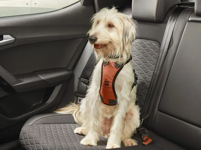 Arnés de seguridad para perro - Talla XL original SEAT 000084310B