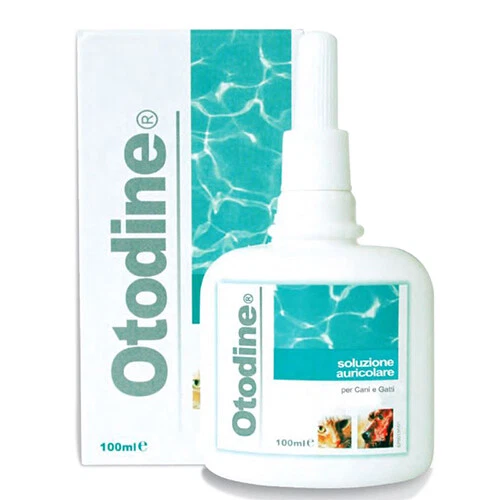 ICF OTODINE Limpiador Auricular para Otitis Bacterianas Crónicas o Recidivantes