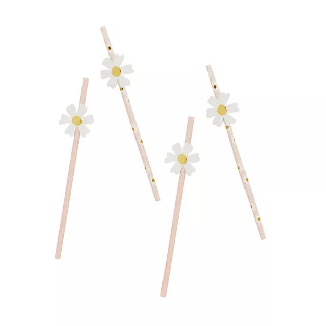 party tableware daisy Paper Straws 16 Pack birthday decoration