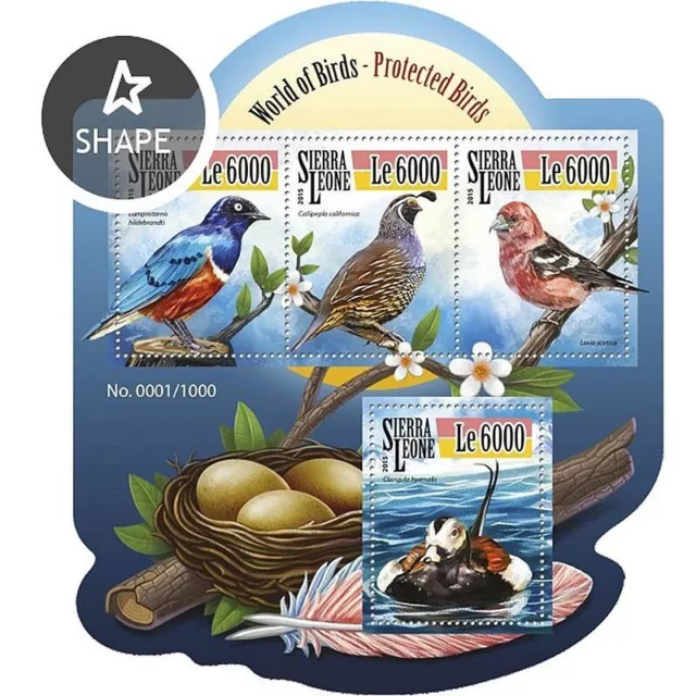 World of PROTECTED BIRDS 4-Value MNH Bird Stamp Sheet #492 (2015 Sierra Leone)